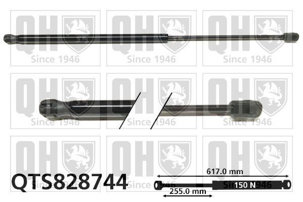 Dujinė spyruoklė, sulankstomas stogas QUINTON HAZELL QTS828744