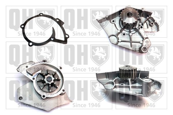 Vandens siurblys, variklio aušinimas QUINTON HAZELL QCP2873