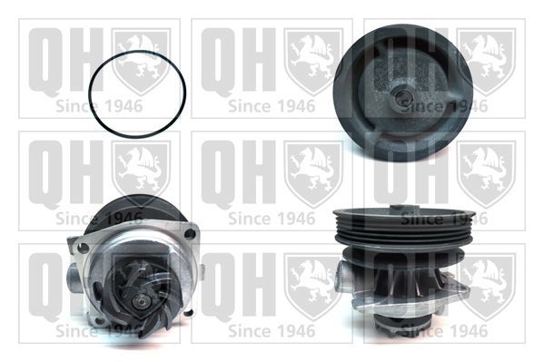 Vandens siurblys, variklio aušinimas QUINTON HAZELL QCP3114