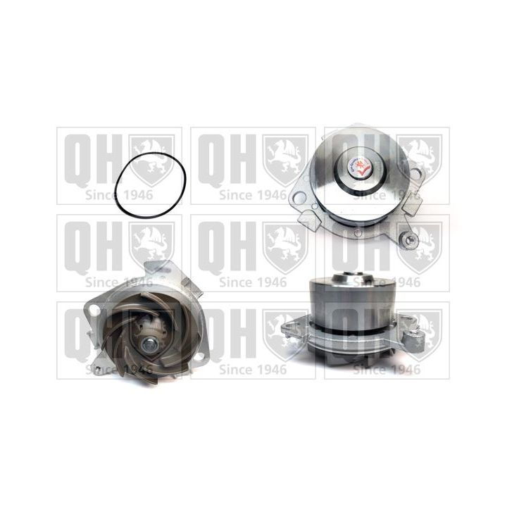 Vandens siurblys, variklio aušinimas QUINTON HAZELL QCP3316