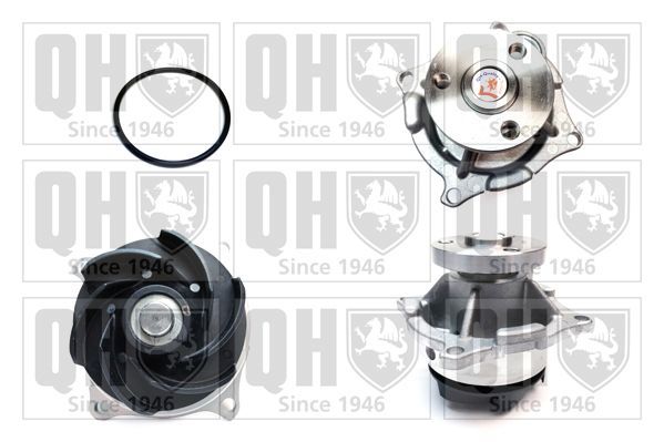 Vandens siurblys, variklio aušinimas QUINTON HAZELL QCP3408