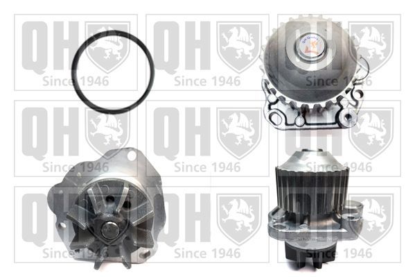 Vandens siurblys, variklio aušinimas QUINTON HAZELL QCP3541