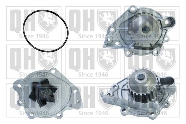 Vandens siurblys, variklio aušinimas QUINTON HAZELL QCP3553