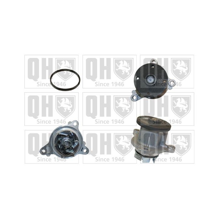 Vandens siurblys, variklio aušinimas QUINTON HAZELL QCP3781