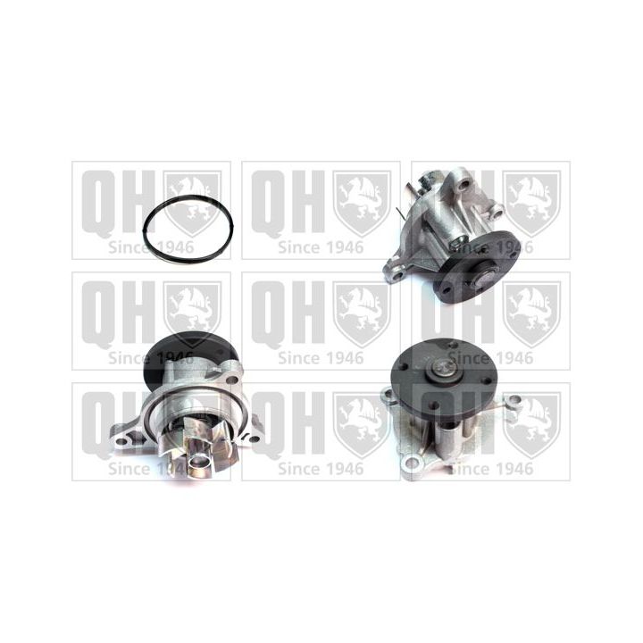 Vandens siurblys, variklio aušinimas QUINTON HAZELL QCP3890