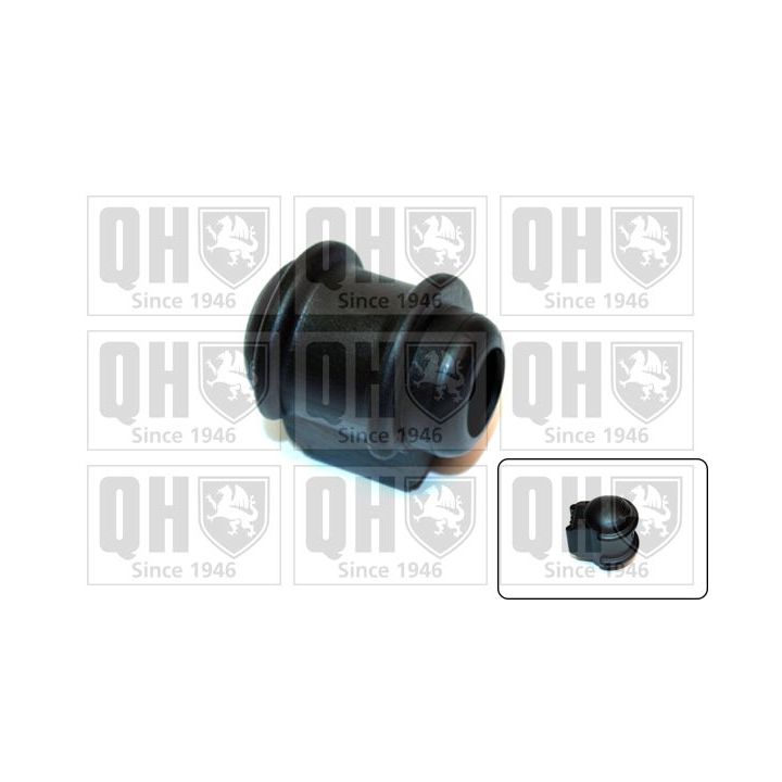 Skersinio stabilizatoriaus įvorių komplektas QUINTON HAZELL EMB2031