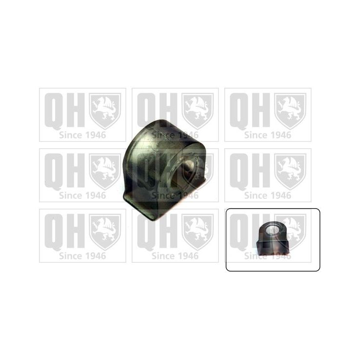 Skersinio stabilizatoriaus įvorių komplektas QUINTON HAZELL EMB2128