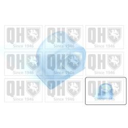 Skersinio stabilizatoriaus įvorių komplektas QUINTON HAZELL EMB2129