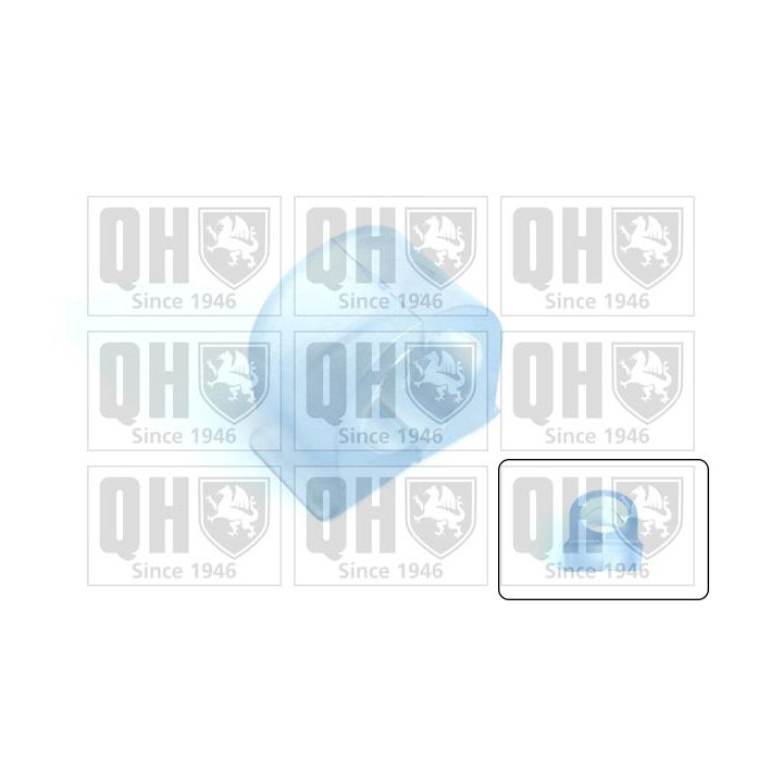 Skersinio stabilizatoriaus įvorių komplektas QUINTON HAZELL EMB2129