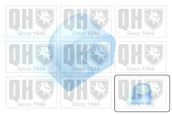 Skersinio stabilizatoriaus įvorių komplektas QUINTON HAZELL EMB2129