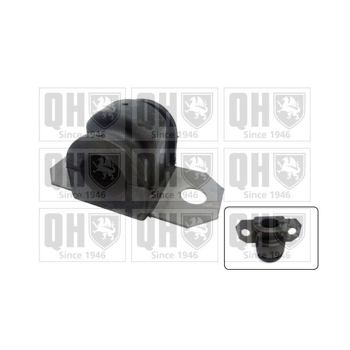 Skersinio stabilizatoriaus įvorių komplektas QUINTON HAZELL EMB7348