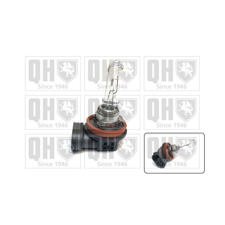 Lemputė, rūko žibintas QUINTON HAZELL QBL709