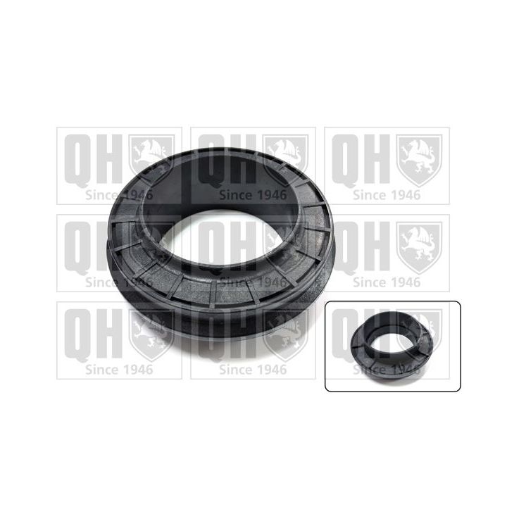 Frikcinis guolis, pakabos statramsčio atramos montavimas QUINTON HAZELL QAM101