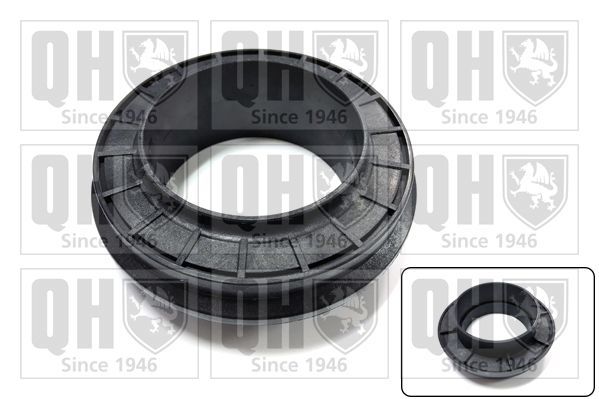 Frikcinis guolis, pakabos statramsčio atramos montavimas QUINTON HAZELL QAM101