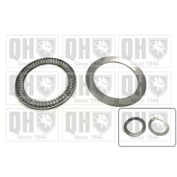 Frikcinis guolis, pakabos statramsčio atramos montavimas QUINTON HAZELL QAM103