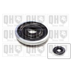 Frikcinis guolis, pakabos statramsčio atramos montavimas QUINTON HAZELL QAM112