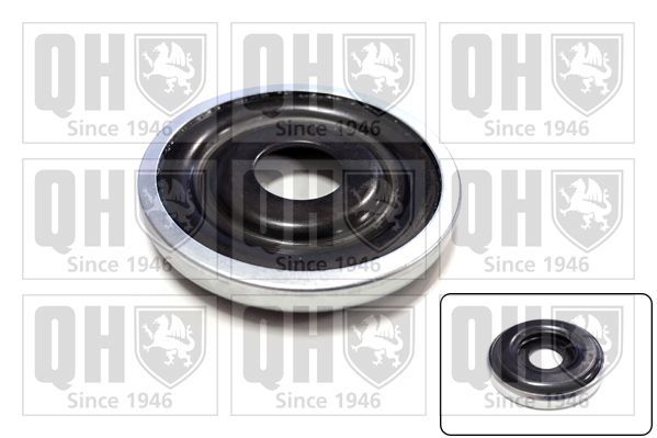 Frikcinis guolis, pakabos statramsčio atramos montavimas QUINTON HAZELL QAM112