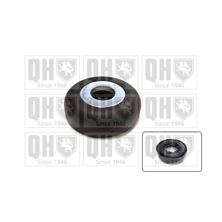 Frikcinis guolis, pakabos statramsčio atramos montavimas QUINTON HAZELL QAM120