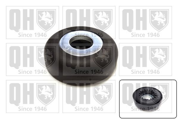 Frikcinis guolis, pakabos statramsčio atramos montavimas QUINTON HAZELL QAM120