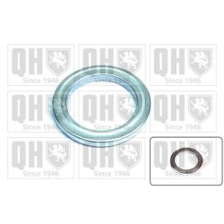 Frikcinis guolis, pakabos statramsčio atramos montavimas QUINTON HAZELL QAM129