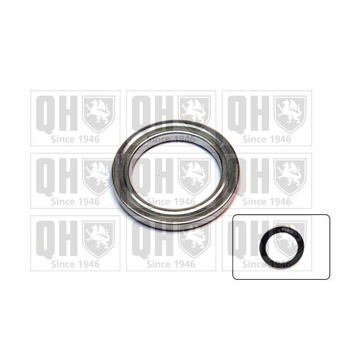 Frikcinis guolis, pakabos statramsčio atramos montavimas QUINTON HAZELL QAM138