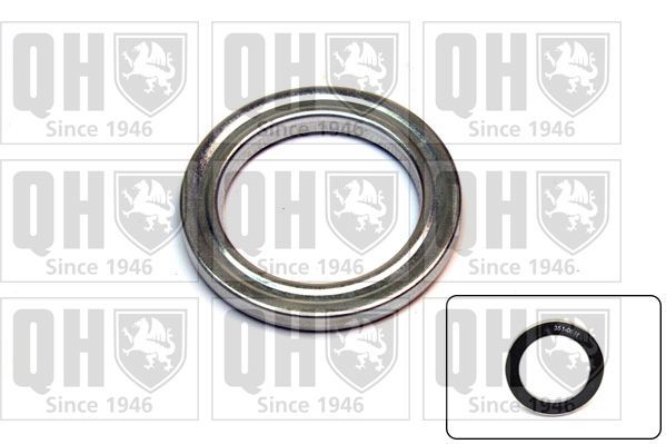 Frikcinis guolis, pakabos statramsčio atramos montavimas QUINTON HAZELL QAM138