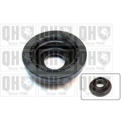 Frikcinis guolis, pakabos statramsčio atramos montavimas QUINTON HAZELL QAM143