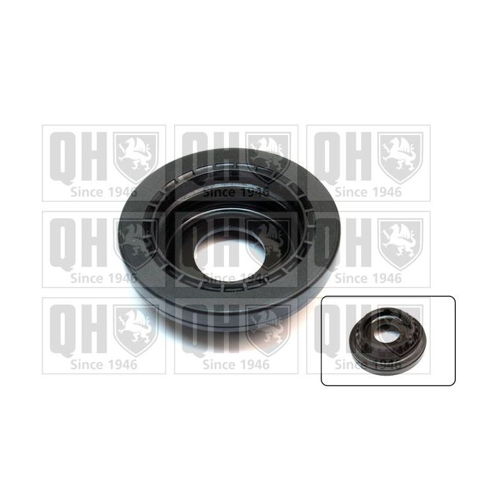 Frikcinis guolis, pakabos statramsčio atramos montavimas QUINTON HAZELL QAM143