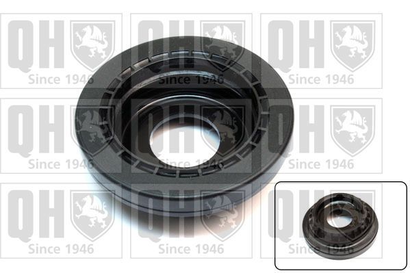 Frikcinis guolis, pakabos statramsčio atramos montavimas QUINTON HAZELL QAM143