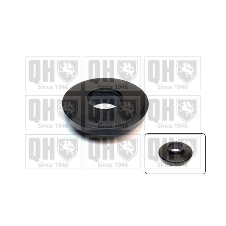 Frikcinis guolis, pakabos statramsčio atramos montavimas QUINTON HAZELL QAM149