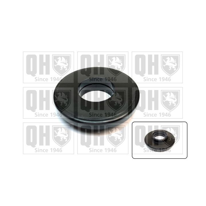 Frikcinis guolis, pakabos statramsčio atramos montavimas QUINTON HAZELL QAM155