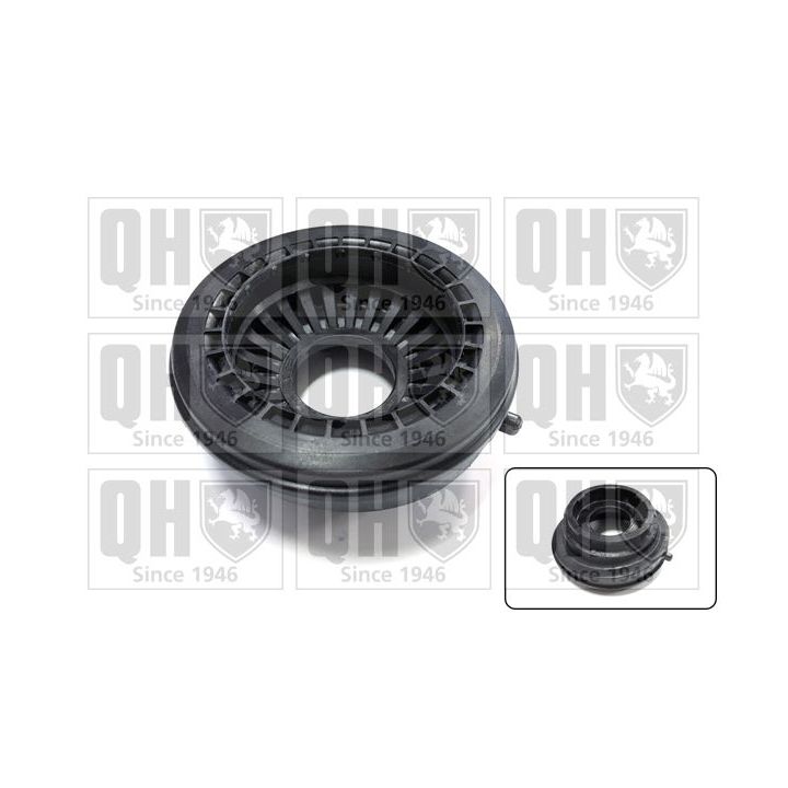 Frikcinis guolis, pakabos statramsčio atramos montavimas QUINTON HAZELL QAM159