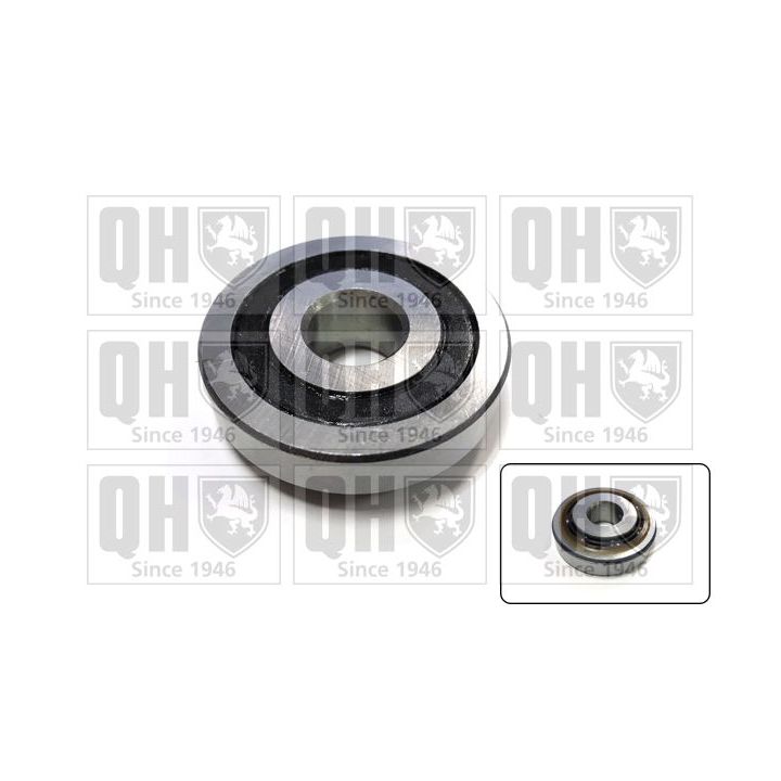 Frikcinis guolis, pakabos statramsčio atramos montavimas QUINTON HAZELL QAM160