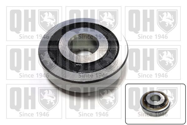 Frikcinis guolis, pakabos statramsčio atramos montavimas QUINTON HAZELL QAM160