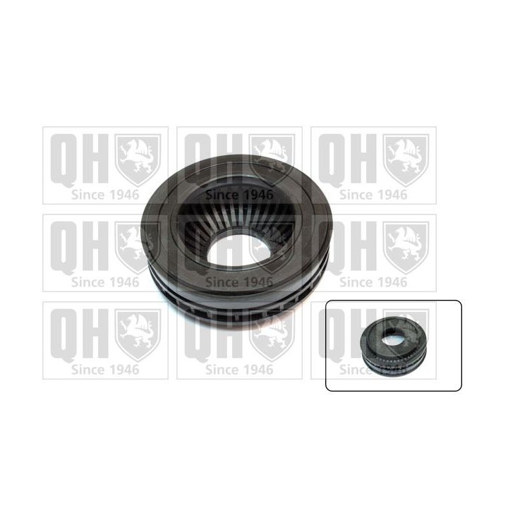 Frikcinis guolis, pakabos statramsčio atramos montavimas QUINTON HAZELL QAM163