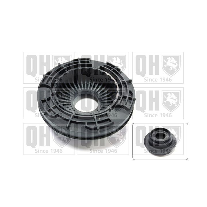 Frikcinis guolis, pakabos statramsčio atramos montavimas QUINTON HAZELL QAM170