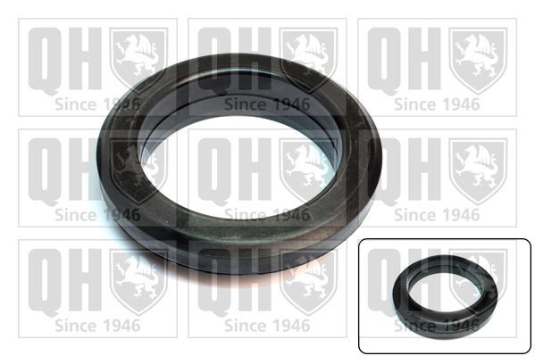 Frikcinis guolis, pakabos statramsčio atramos montavimas QUINTON HAZELL QAM174