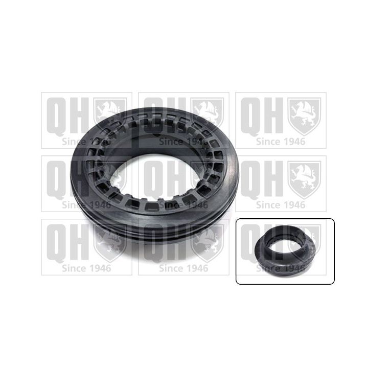 Frikcinis guolis, pakabos statramsčio atramos montavimas QUINTON HAZELL QAM185