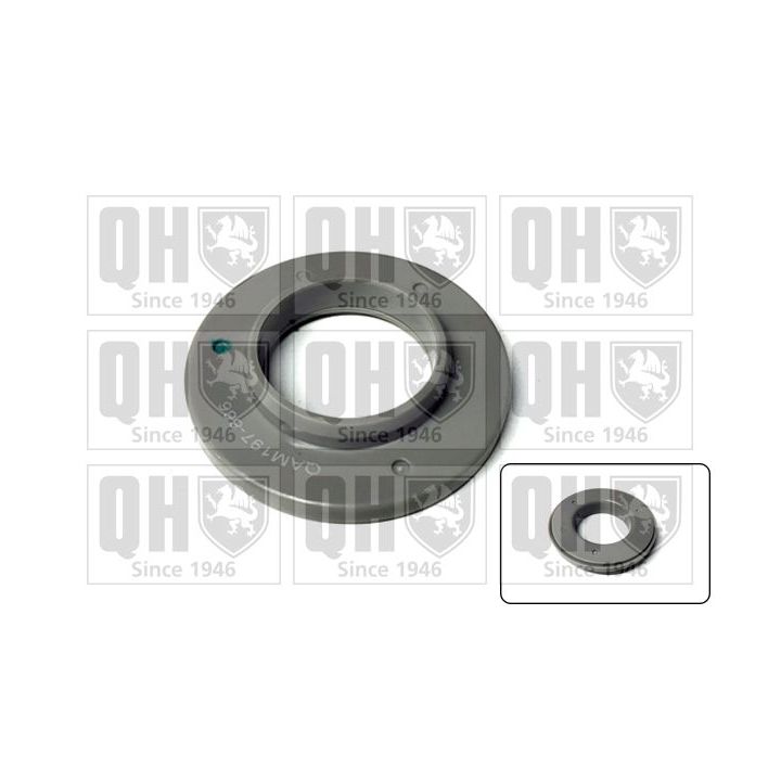 Frikcinis guolis, pakabos statramsčio atramos montavimas QUINTON HAZELL QAM197