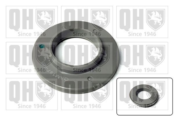 Frikcinis guolis, pakabos statramsčio atramos montavimas QUINTON HAZELL QAM197