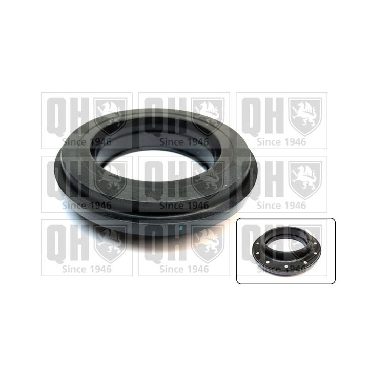 Frikcinis guolis, pakabos statramsčio atramos montavimas QUINTON HAZELL QAM210