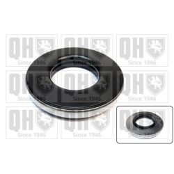 Frikcinis guolis, pakabos statramsčio atramos montavimas QUINTON HAZELL QAM211