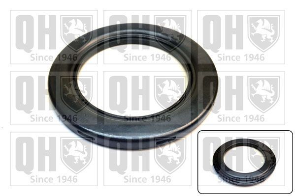 Frikcinis guolis, pakabos statramsčio atramos montavimas QUINTON HAZELL QAM212