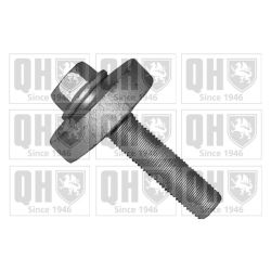 Skriemulio varžtas QUINTON HAZELL QTT1166B