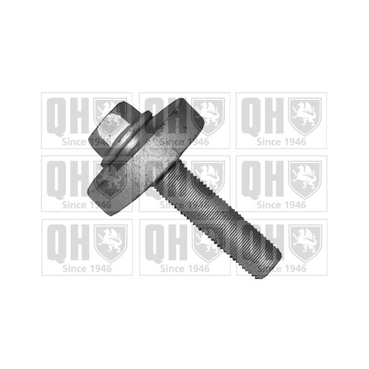 Skriemulio varžtas QUINTON HAZELL QTT1166B