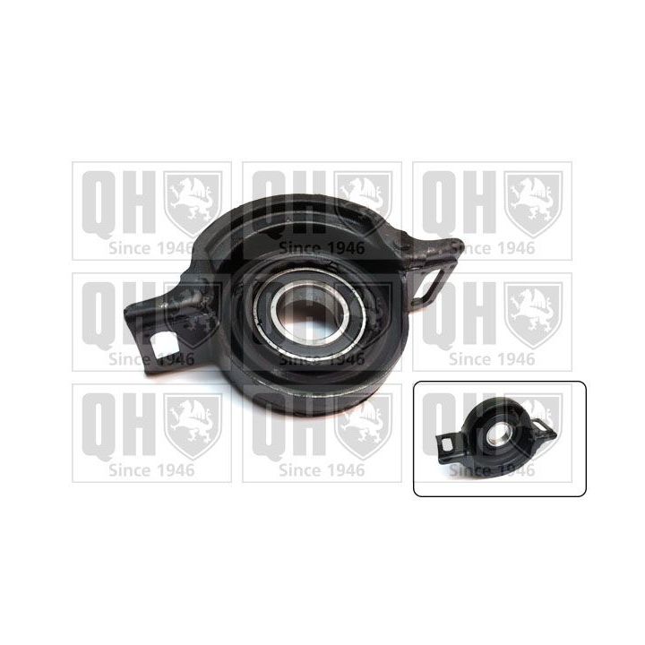 Guolis, kardaninio veleno centrinis guolis QUINTON HAZELL EM4735