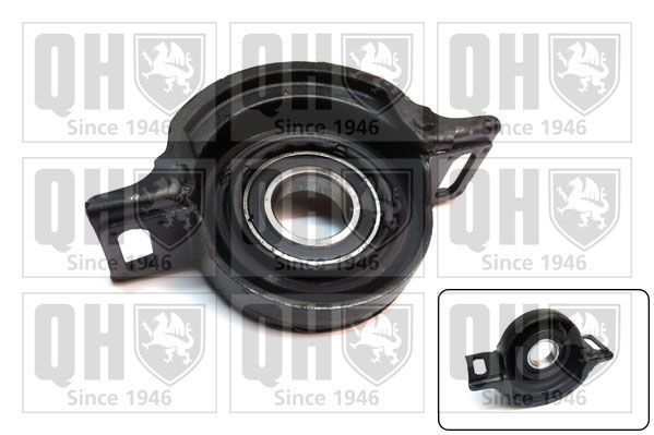 Guolis, kardaninio veleno centrinis guolis QUINTON HAZELL EM4735