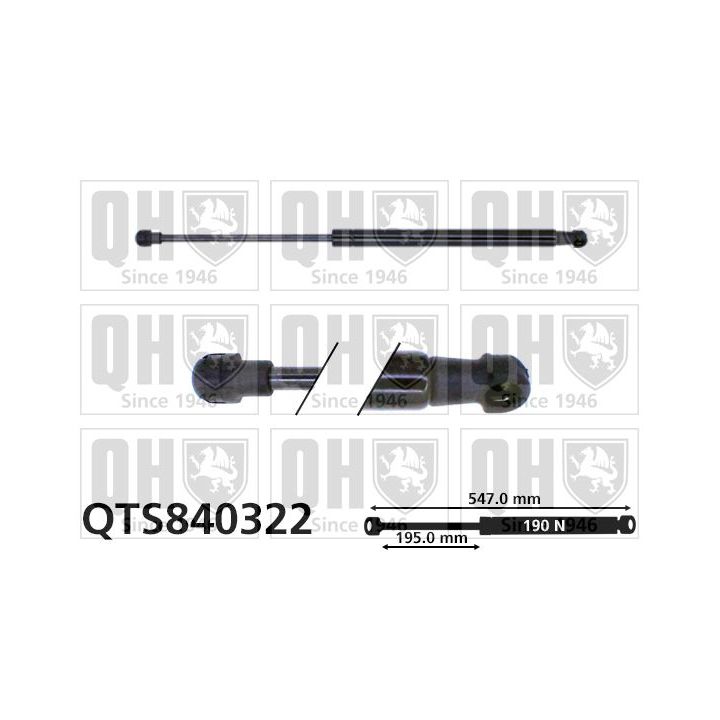 Dujinė spyruoklė, galinis langas QUINTON HAZELL QTS840322