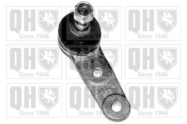 Šarnyras / girgždukas QUINTON HAZELL QSJ1151S