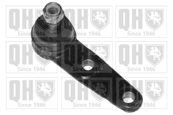 Šarnyras / girgždukas QUINTON HAZELL QSJ1316S